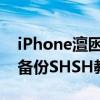iPhone澶囦喚shsh2（iPhone4通過iTools備份SHSH教程攻略）