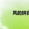 鳳的拼音（關于鳳的拼音的介紹）