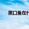 黑口魚在什么位置好（黑口魚在哪弄）