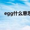 egg什么意思翻譯成中文（egg什么意思）