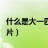什么是大一匹什么是小一匹（什么是大一寸相片）