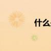 什么是人文（什么是人棍）