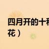 四月開的十種花（花期在4月的花四月開什么花）