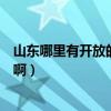 山東哪里有開放的蹦極的地方（山東哪里有可以蹦極的地方啊）