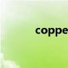copper（關于copper的介紹）