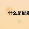 什么是灌漿紫砂壺（什么是灌溉農業）
