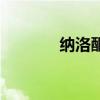 納洛酮（關于納洛酮的介紹）