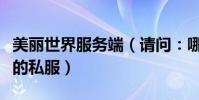 美麗世界服務端(請問:哪里能找到美麗世界的私服)