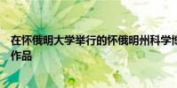 在懷俄明大學舉行的懷俄明州科學博覽會上展示他們的原創作品