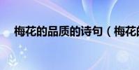 梅花的品質的詩句(梅花的品質有哪些)