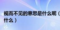 視而不見的意思是什么呢(視而不見的意思是什么)