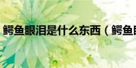 鱷魚眼淚是什么東西(鱷魚眼淚是什么意思)