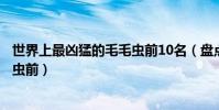 世界上最兇猛的毛毛蟲前10名(盤點世界十大最兇猛的毛毛蟲前)
