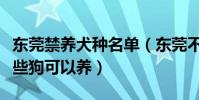 東莞禁養犬種名單(東莞不能養什么狗東莞哪些狗可以養)