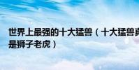 世界上最強的十大猛獸(十大猛獸真實戰斗力排行第一名不是獅子老虎)