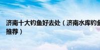 濟南十大釣魚好去處(濟南水庫釣魚哪里好濟南野釣的地方推薦)
