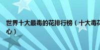 世界十大最毒的花排行榜(十大毒花排名看到它們千萬要小心)