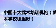 中國十大武術培訓機構(武術培訓班有哪些武術學校哪里好)