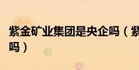 紫金礦業集團是央企嗎(紫金礦業集團是國企嗎)