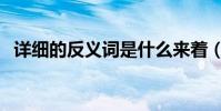 詳細的反義詞是什么來著(詳細的反義詞)