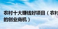 農村十大賺錢好項目(農村都有哪些不可錯過的創業商機)
