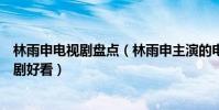 林雨申電視劇盤點(林雨申主演的電視劇林雨申的哪部電視劇好看)