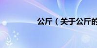 公斤(關于公斤的介紹)