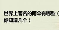 世界上著名的雨傘有哪些(世界十大頂級雨傘你知道幾個)