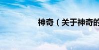 神奇(關于神奇的介紹)