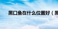 黑口魚在什么位置好(黑口魚在哪弄)