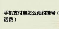 手機支付寶怎么預約掛號(手機支付寶怎么交話費)