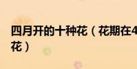 四月開的十種花(花期在4月的花四月開什么花)