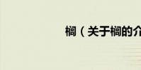 櫚(關于櫚的介紹)