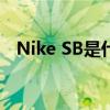 Nike SB是什么（NIKE的SB是什么意思）