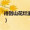 待到山花爛漫時（關于待到山花爛漫時的介紹）