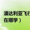 潘達利亞飛行騎術（魔獸世界潘達利亞飛行術在哪學）