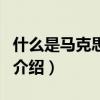 什么是馬克思主義（關于什么是馬克思主義的介紹）