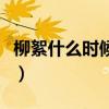 柳絮什么時候落下來了（柳絮什么時候落下來）