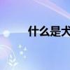 什么是犬行為（什么是犬儒主義?）
