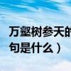 萬壑樹參天的下一句是啥（萬壑樹參天的下一句是什么）