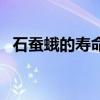 石蠶蛾的壽命（石蛾的生活習性是怎樣的）