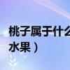 桃子屬于什么種類的水果（桃子屬于什么種類水果）