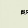 颶風（關于颶風的介紹）