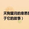 天狗望月的意思是什么編故事（天狗望月是什么意思還有關于它的故事）