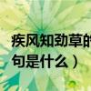 疾風知勁草的下一句諺語（疾風知勁草的下一句是什么）