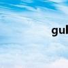 gulf（關于gulf的介紹）