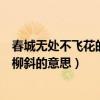 春城無處不飛花的春城的意思（春城無處不飛花寒食東風御柳斜的意思）