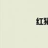 紅豬（關于紅豬的介紹）
