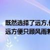 既然選擇了遠方,便只顧風雨兼程下一句是什么（既然選擇了遠方便只顧風雨兼程.什么意思）