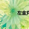 左金丸（關于左金丸的介紹）
